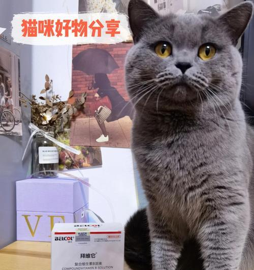 猫咪维生素B摄入量详解（宠物健康必需品——猫咪维生素B）