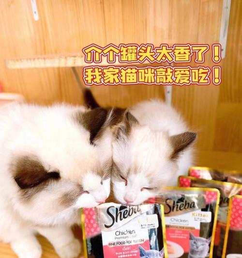 猫咪维生素E的重要性及补充方法（宠物猫咪缺乏维生素E的原因和症状）