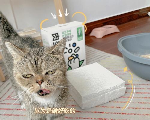 猫咪闻猫砂打喷嚏，这是为什么（探究猫咪对猫砂的反应和打喷嚏的原因）