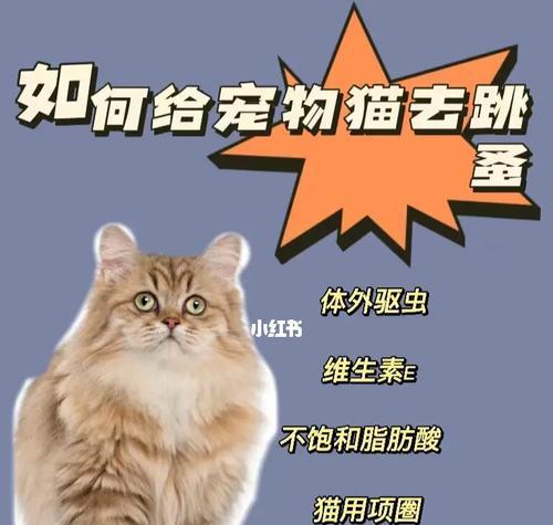 猫咪误食跳蚤药会死吗？解决方法与预防措施