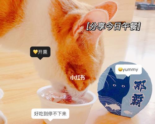 猫咪为何喜欢吃猫粮不喜欢罐头（探究猫咪喜好的原因及如何合理喂养）