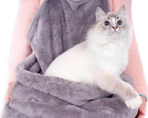 宠物猫喜欢带毛毛衣服的原因分析（了解猫咪行为与健康）