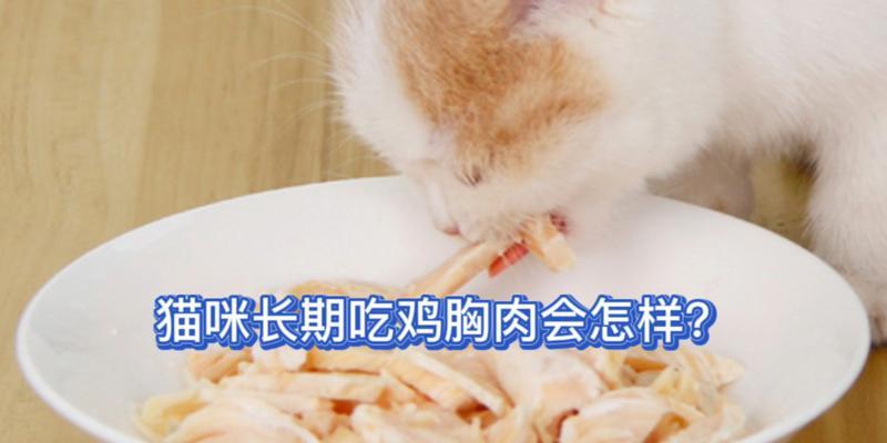 鸡胸肉汤，猫咪的最爱（为什么猫咪喜欢鸡胸肉汤）