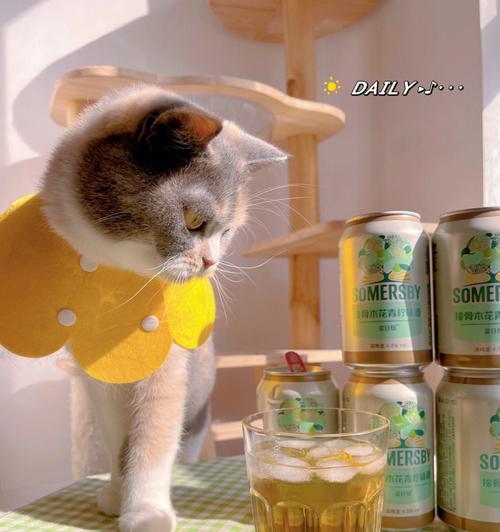 猫咪与酒的奇妙关系（探究猫咪为何喜欢酒的味道）