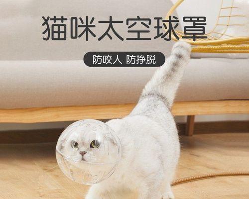 猫咪为什么喜欢舔人舔了就咬（揭开猫咪舔人舔了就咬的神秘面纱）