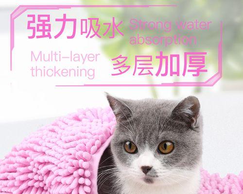 猫咪为什么喜欢闻主人的毛巾（探秘猫咪对主人毛巾的奇特兴趣）