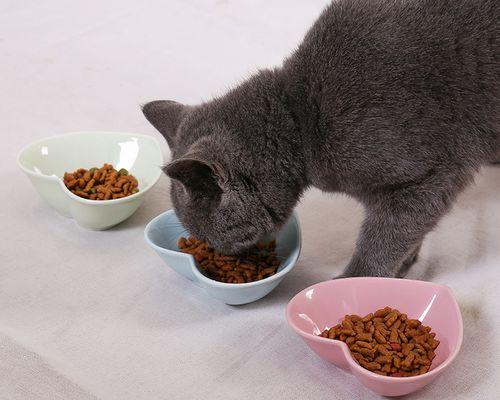 猫咪喜欢盆还是碗（探究猫咪用餐偏好）