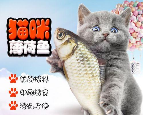 猫咪喜欢鱼好不好？解析猫咪饮食习惯与营养需求