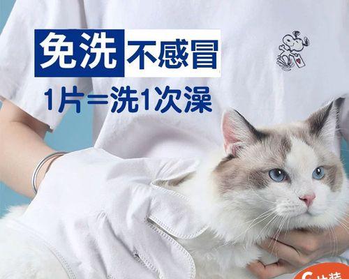 猫咪的幸福生活（主人的打扫让猫咪更开心）