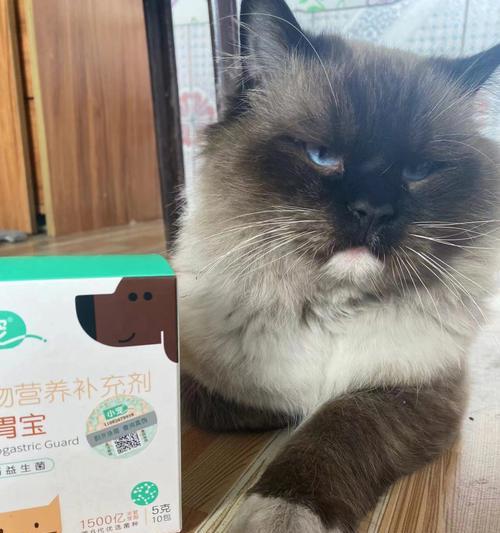 猫咪健康必备——每天吃益生菌（宠物的肠道保健从此不用愁）