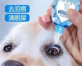 保护宠物眼睛从眼药水开始（选择适合猫咪的眼药水）