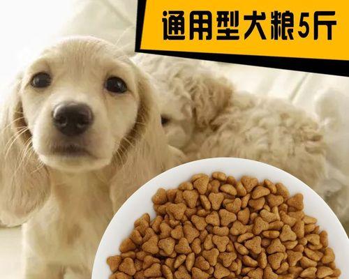 萨摩耶幼犬狗粮——成为健康萨摩耶的基石（为你的小狗提供最好的食物）