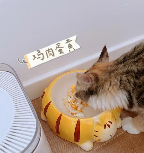 三个月自制猫饭之宠物健康之路（如何为猫咪提供最健康的饮食）