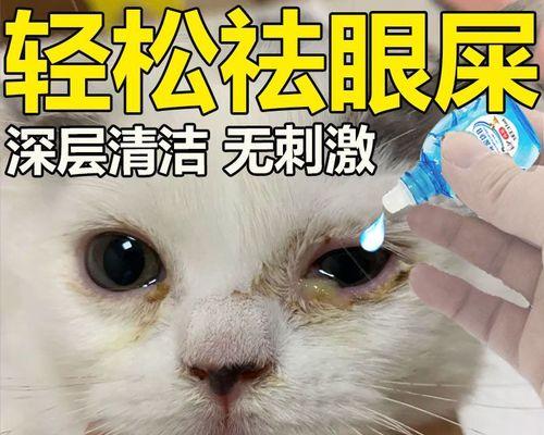 三个月小猫泪痕的治疗与预防（以宠物为主）