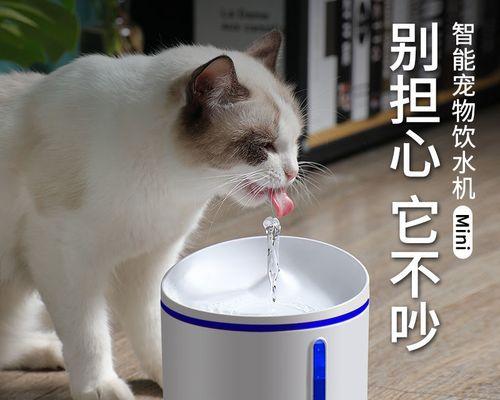 小狗需要喝水的重要性（宠物养护常识）