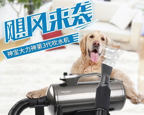 狗狗吹水机，让你的宠物洗澡更方便（一款方便实用的宠物洗澡工具）