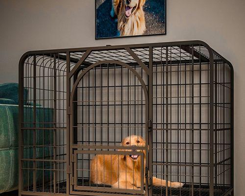 让你的爱犬舒适自在的笼子生活（以适合笼子养的狗狗为主题的养护指南）