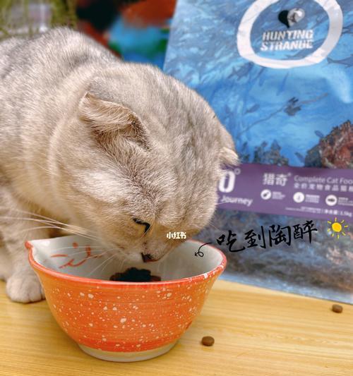 湿猫粮（让你的猫咪更健康的湿猫粮选择）