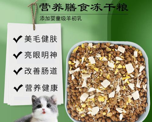 四个月小猫自制猫粮，健康成长从口开始