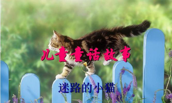 猫咪迷路童话故事（一只宠物猫咪的冒险之旅）