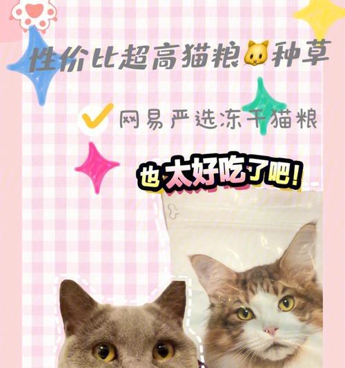 网易严选猫粮，三个月猫咪吃多久（优质猫粮的重要性与选购技巧）