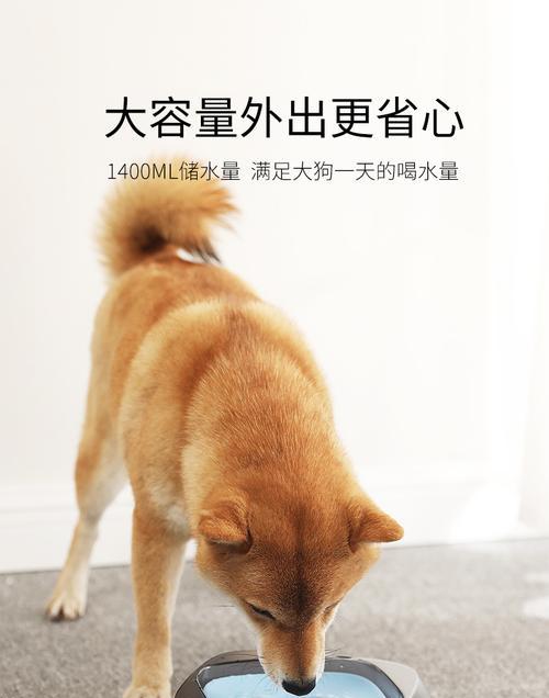 狗狗猛喝水的原因（为何狗狗总是口渴）