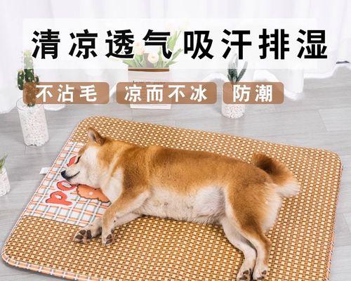 揭秘狗狗喜欢睡垫子的原因（探究狗狗对垫子的喜爱和依赖）