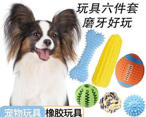 以飞行犬为主题的宠物介绍（认识这个能飞的狗）