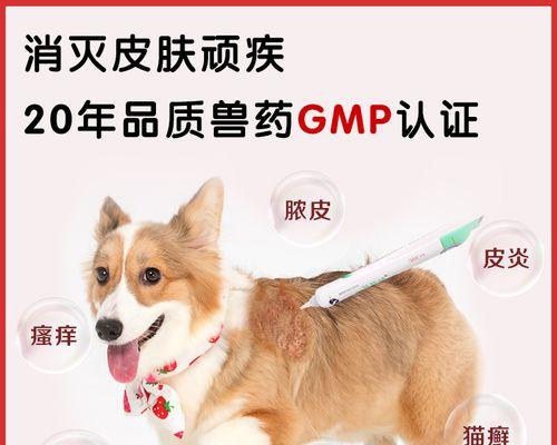 以妇炎洁，让你的爱犬远离真菌感染（宠物健康无小事）