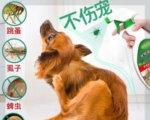 如何有效清理宠物身上的狗耳朵长蜱虫（打造干净健康的宠物生活）