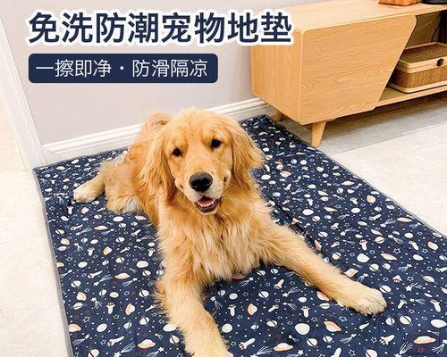 如何帮助狗狗修复受损的脚垫（教你5个简单的方法让你的宠物快速恢复）