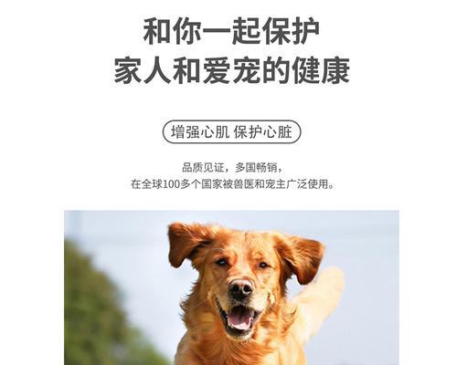 狗狗能吃辅酶Q10吗（探究辅酶Q10对狗狗的影响及注意事项）