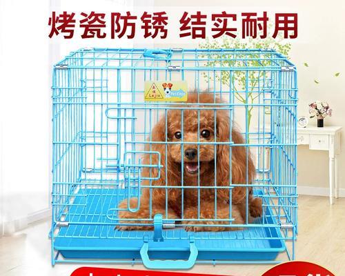 如何训练宠物狗在笼子里排尿（从笼子的选择到训练的技巧）