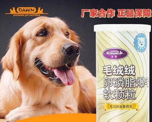 狗狗身体差（为你的爱犬量身定制营养补给）