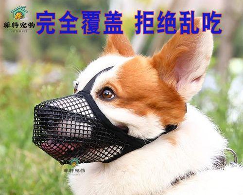 狗狗生产出的惊人产品（探秘宠物市场的新宠）