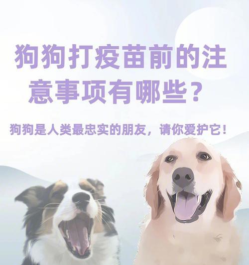 狗狗疫苗注射注意事项（为爱宠的健康保驾护航）