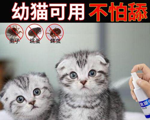 宠物小猫可能会有跳蚤吗（了解小猫跳蚤的成因及预防方法）