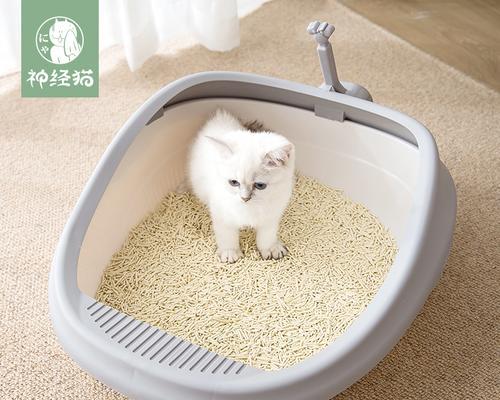 如何解决宠物猫猫砂盆太高的问题（小猫猫砂盆高度不适合）