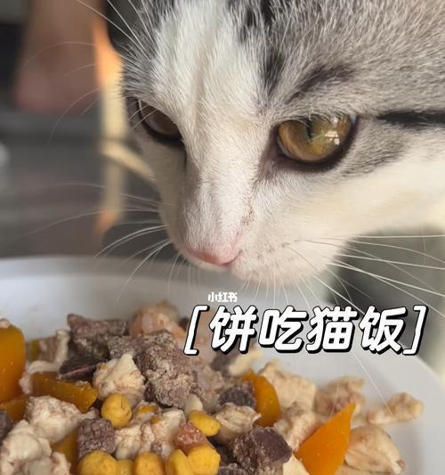 小猫可以吃猪肝吗（猫咪的饮食要注意些什么）