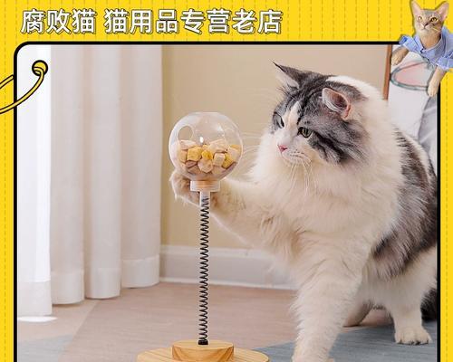 宠物繁殖的道德问题（以小猫生产后拿走为例）