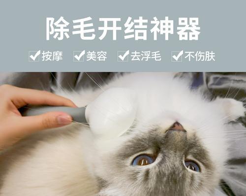 小猫为什么会脱毛（探究宠物猫脱毛的原因和解决方法）