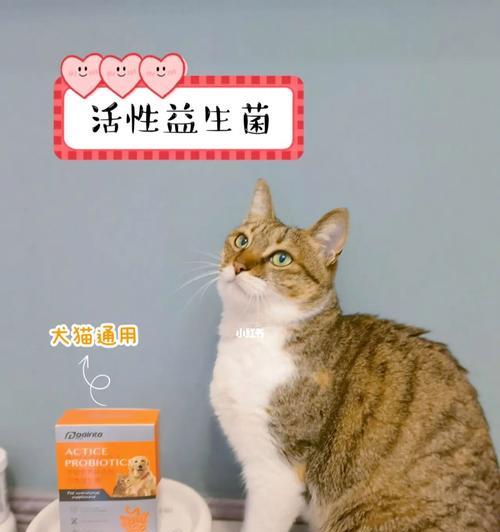 小猫健康必备的益生菌（以小猫益生菌咋吃为主题）