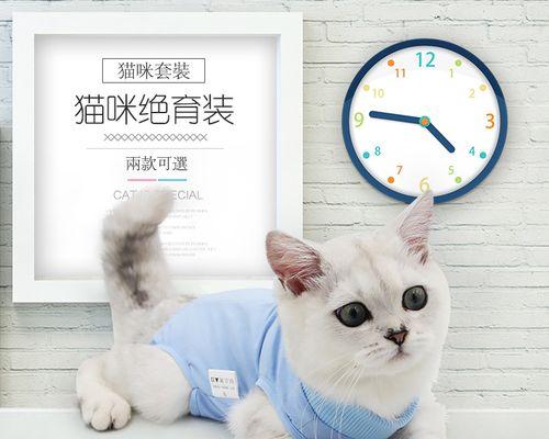 宠物小猫是否应该绝育（探讨小猫绝育的利弊和注意事项）