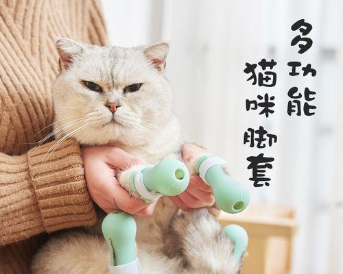 小猫的指甲趣闻（从指甲的形态到修剪技巧）