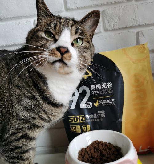 小小猫粮，养育宠物的必备良品（了解小小猫粮的种类和作用）