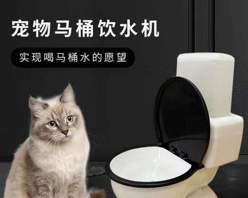 如何让宠物猫咪喝足水（从饮水器的选择到培养好习惯）