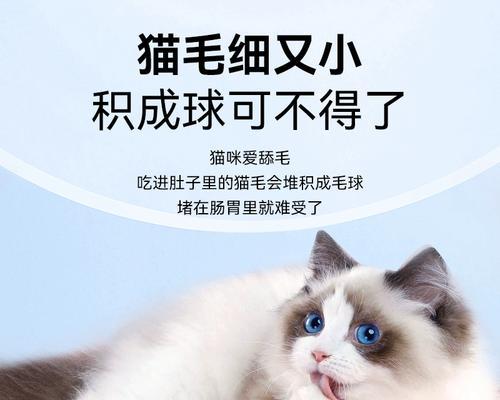 让你家猫咪快速增重的小妙招（宠物爱好者必看）