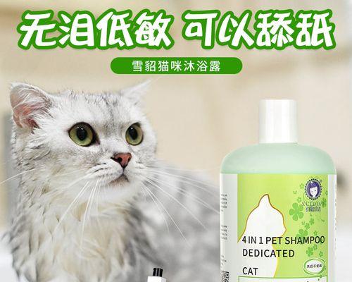 掌握正确方法，让你的宠物猫更健康（掌握正确方法）