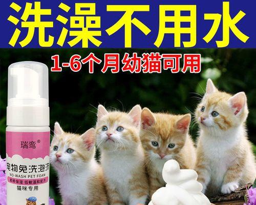 掌握正确方法，让你的宠物猫更健康（掌握正确方法）