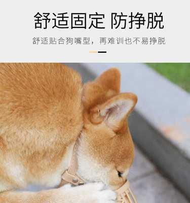 当宠物变成凶猛动物——小狗无故咬主人的原因和解决方法（揭开小狗咬人背后的秘密）